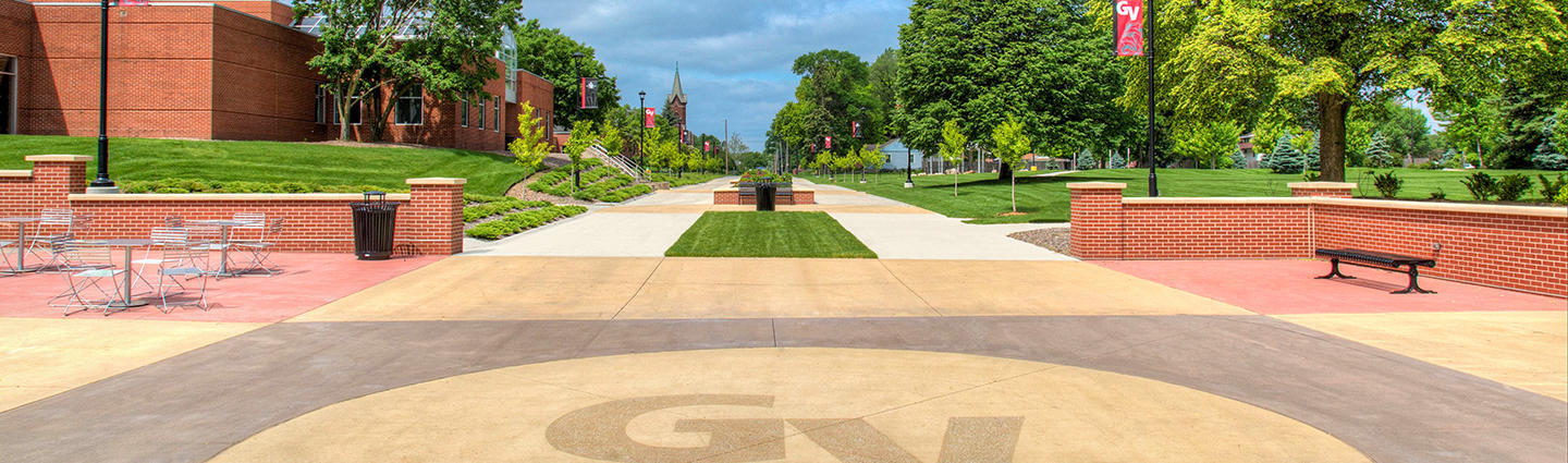 Grand View University